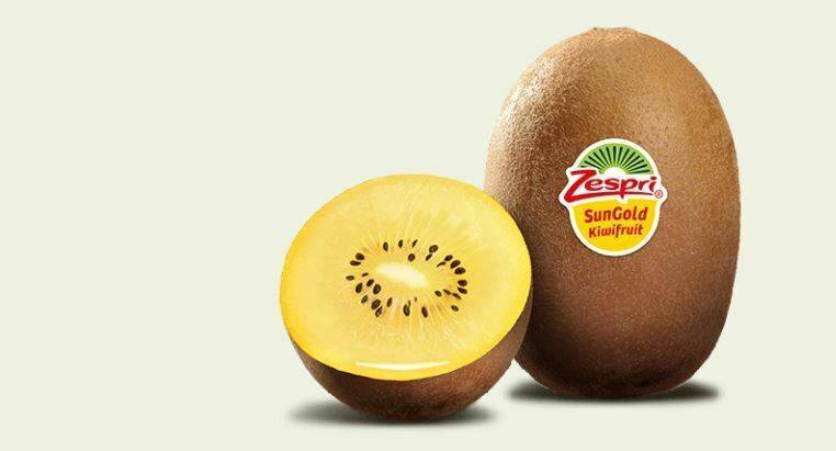 kiwi-SunGold|kiwi-zespri-sungold